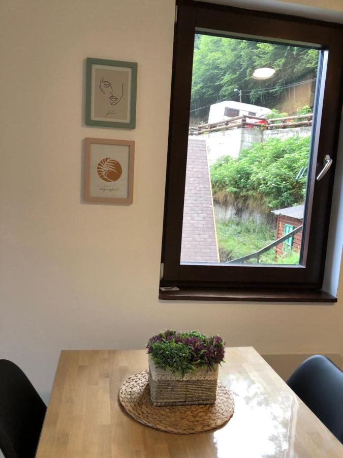 Vila Irina Kopaonik - Apartman Jovana Dış mekan fotoğraf
