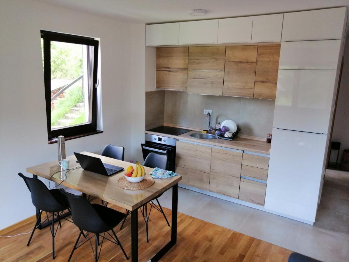 Vila Irina Kopaonik - Apartman Jovana Dış mekan fotoğraf