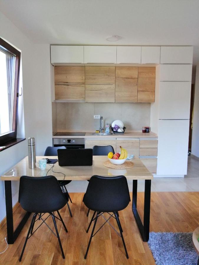 Vila Irina Kopaonik - Apartman Jovana Dış mekan fotoğraf