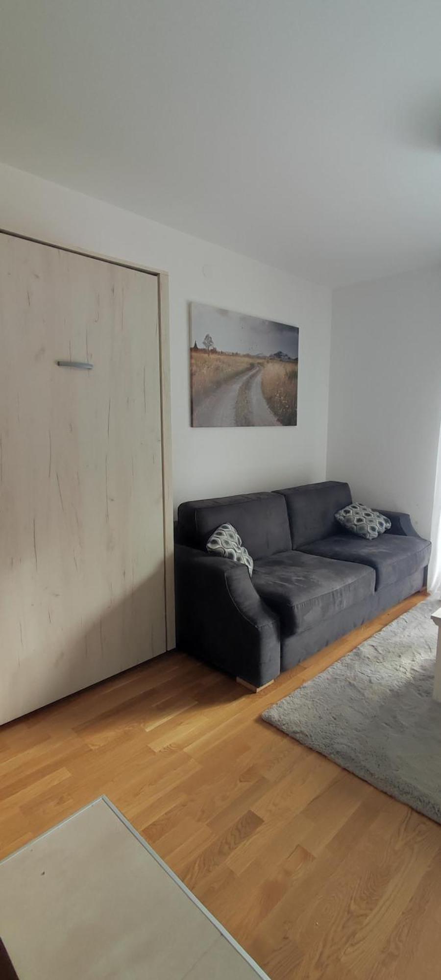 Vila Irina Kopaonik - Apartman Jovana Dış mekan fotoğraf