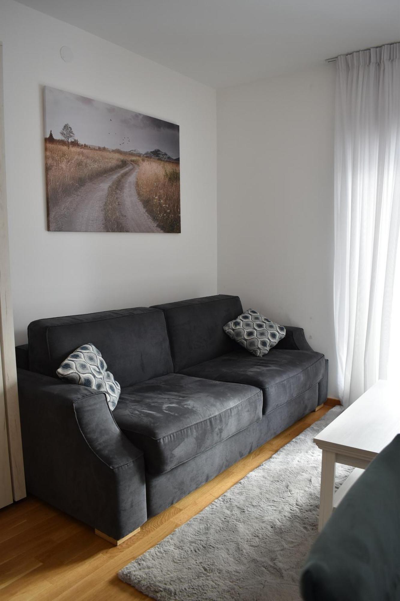 Vila Irina Kopaonik - Apartman Jovana Dış mekan fotoğraf