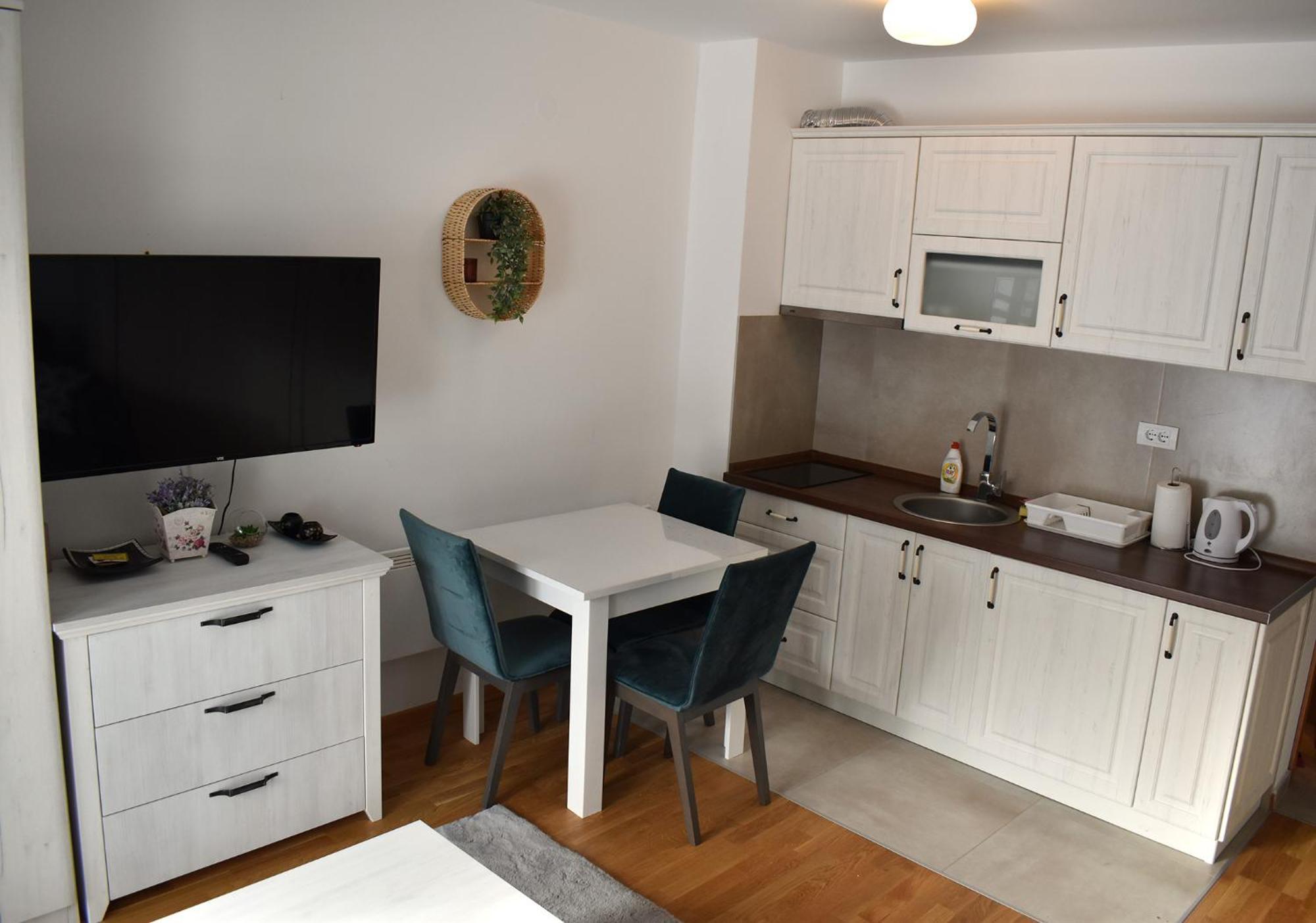 Vila Irina Kopaonik - Apartman Jovana Dış mekan fotoğraf